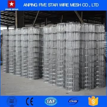 China Manufacturer Galvanized 6x6 Reinforcing Welded Wire Mesh Panels