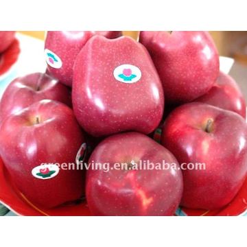 huaniu apple fresh fruit of China