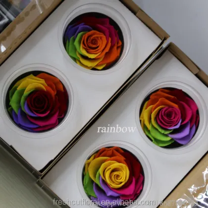 Wholesale 6-7cm Wide Red Fresh Preserved Rose Flowers
