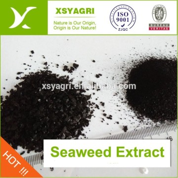 100% soluble Organic foliar fertilizer SEAWEED EXTRACT