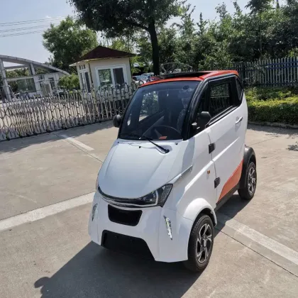 Runhorse 4 Wheels Cabin Electric Motors Scooter for Family Use