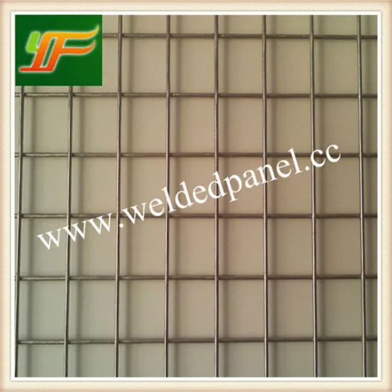 100 x 100mm galvanized welded wire mesh panel
