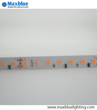112LEDs Meter 24VDC Constant Current LED Strip 2835