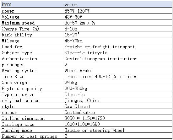  large capacity electric tricycle