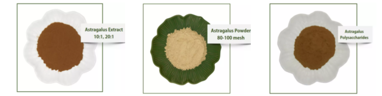 astragalus root extract