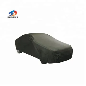Size Customized Peva Waterproof and Snow Proof Car Cover