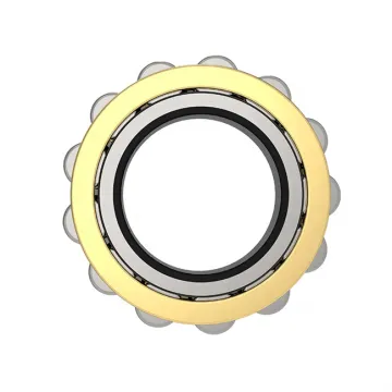 High-Quality Cylindrical Roller Bearing RN309 RN309M Swing Reducer Bearing