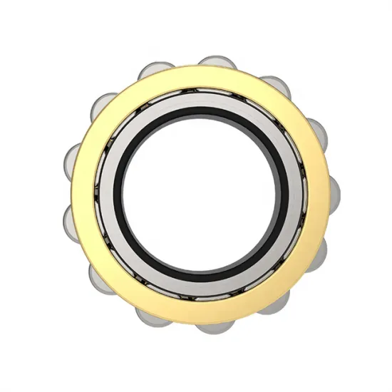 High-Quality Cylindrical Roller Bearing RN309 RN309M Swing Reducer Bearing