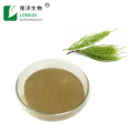Longze Direct Provide Horsetail Extract Equisetum arvense