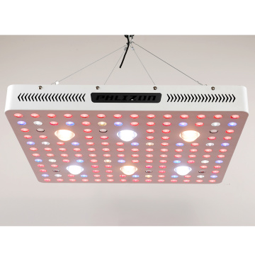 LED 600W da série 600W da espiga de Phlizon Cree