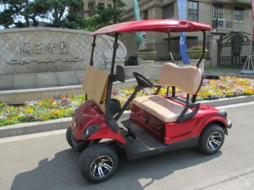 2 seater mini golf carts