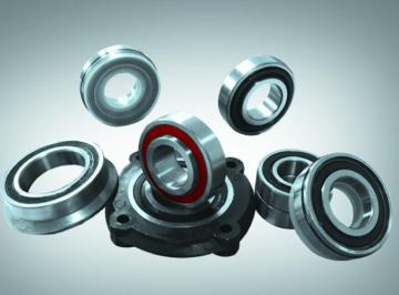 Non-Standard Bearing