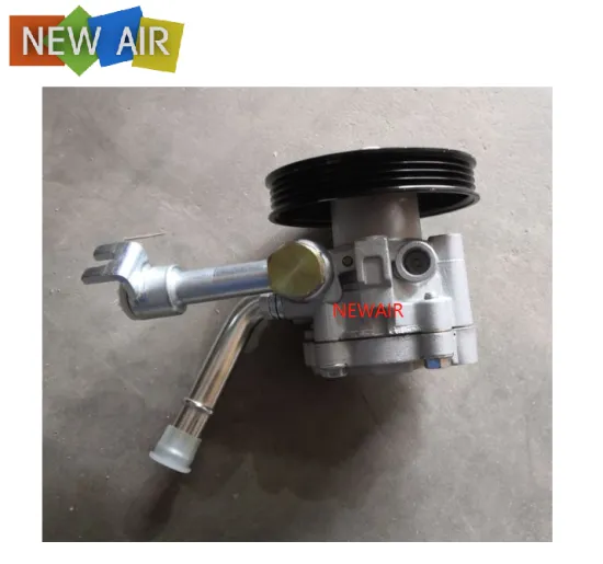 49110-EB300 Nissan Navara YD25 Power Steering Pump