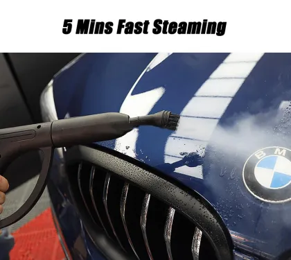 Hand-held high-pressure steam cleaning machine