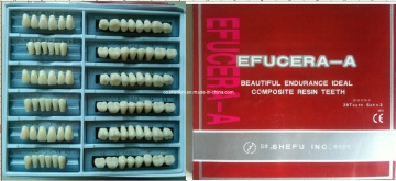 Cheapest Three-Layer Synthetic Resin Teeth (6set/box)