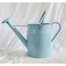 Metal watering can with customizable pattern