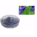 supply Freeze dried Aloe vera extract powder