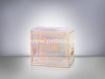 Shoes Plastic Boxes
