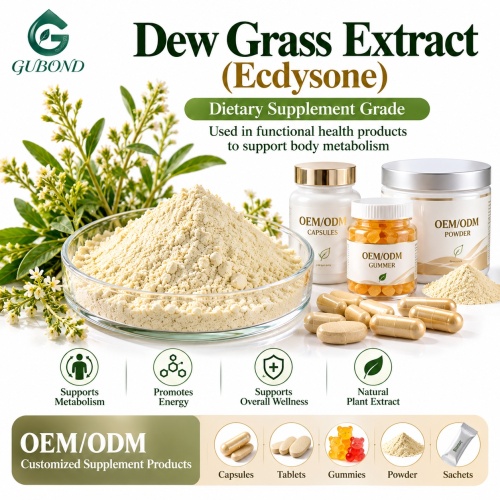 Extrato de grama de orvalho com 20% a 98% de ecdisona para formulações cosméticas e de rações
