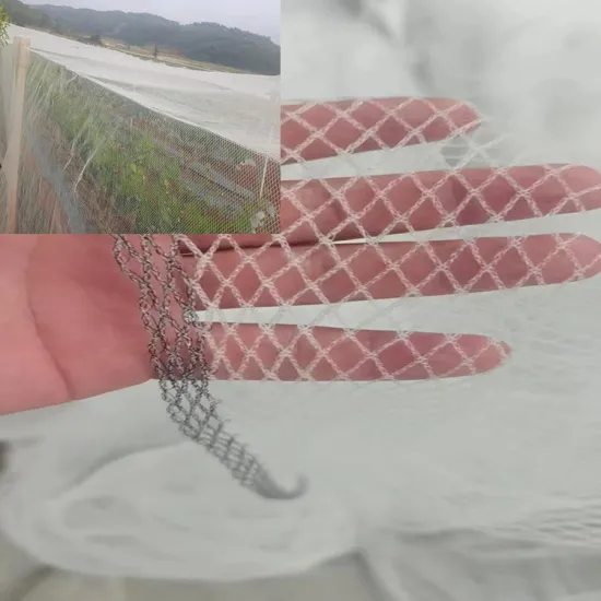 High-Quality HDPE Agriculture Greenhouse Anti-Insect Nets