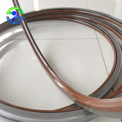 Custom Size TB TA SB SA Automobile Pump Iron Shell Framework Oil Seal