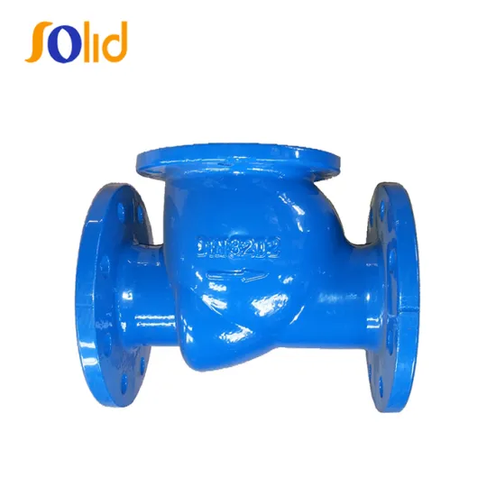 ANSI standard Ductile Iron Flanged End Swing Check Valve