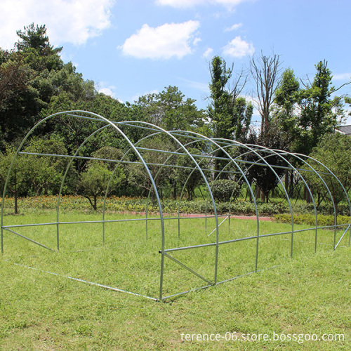 TLSP109 Outdoor Tomato Poly Tunnel Greenhouse 600x300x200cm Low Cost