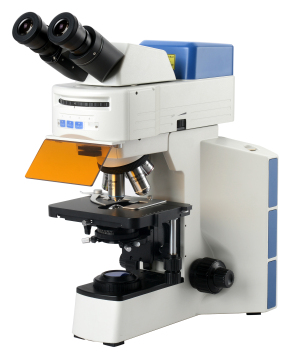 BestScope BS-2064FB LED Fluorescent Binocular Biological Microscope for Tissue Culture