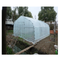 Industrial film greenhouses galvanized steel frame tunnel