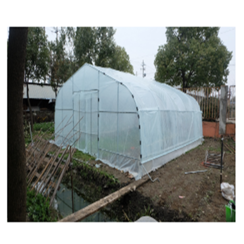 Single Span Plastic Film Greenhouse