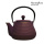 Enamel Cast Iron Tea Pot