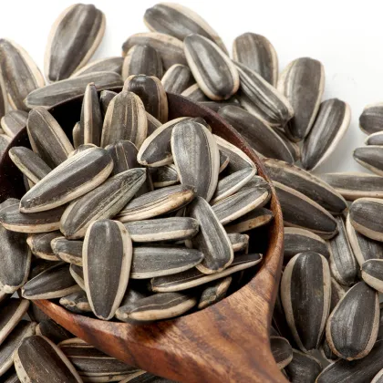sunflower seed a nut or a grain