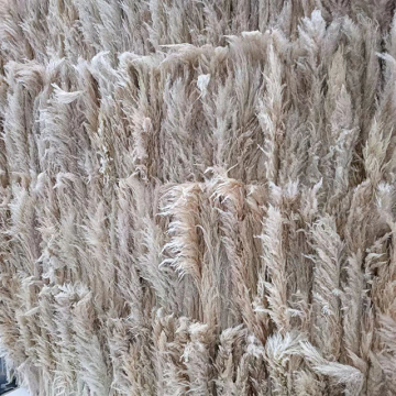 2022 Custom White Natural Artificial Pampas Grass Flower Wall Panel Backdrop