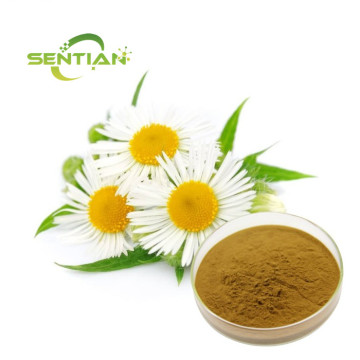 Chamomile Extract Powder for Sleep