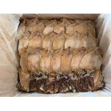 Πώληση αποξηραμένων θαλασσινών καλαμάρια