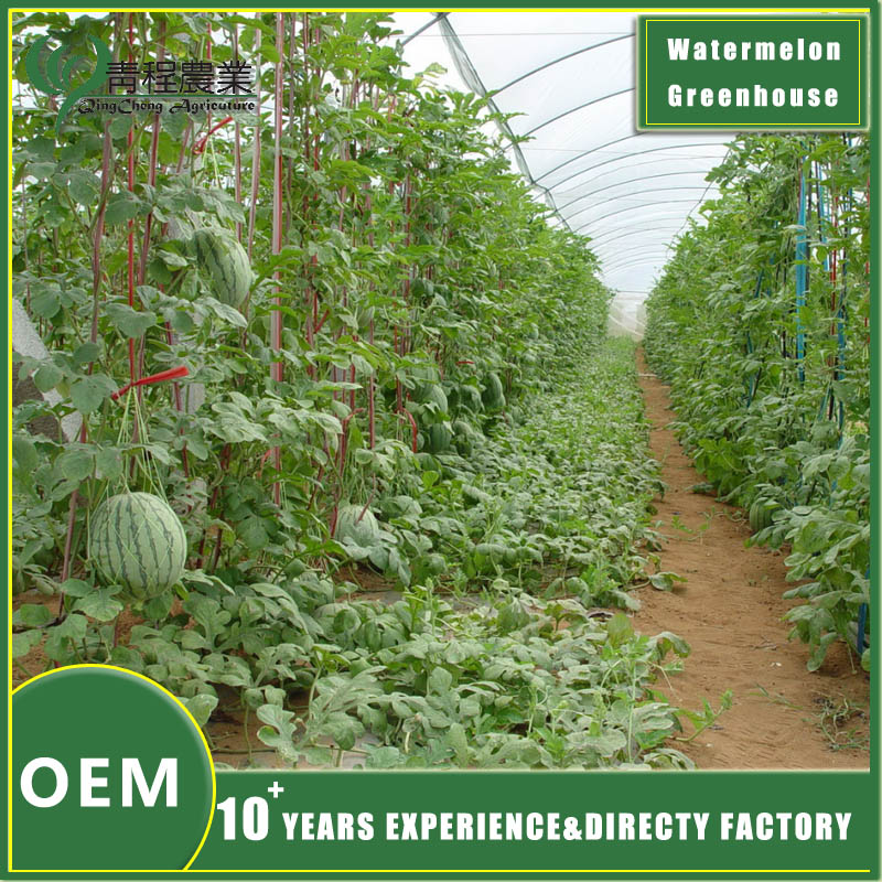 Optimized Watermelon Greenhouse Design