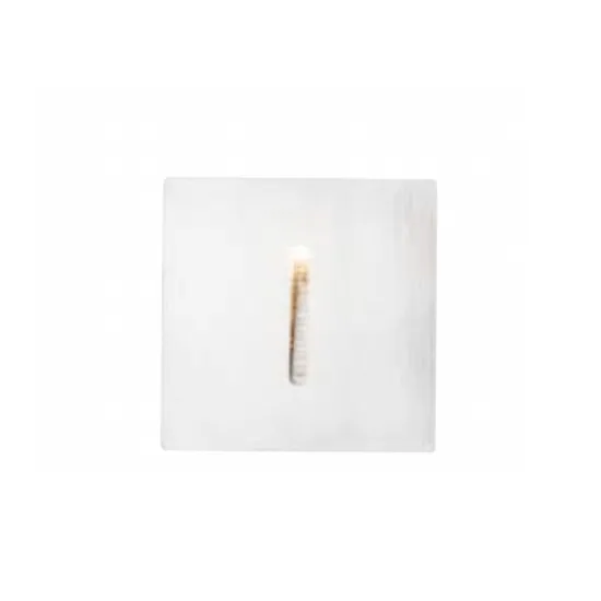 Custom Outdoor LED Garden Courtyard Step Lighting - Recessed Outdoor Foot Light