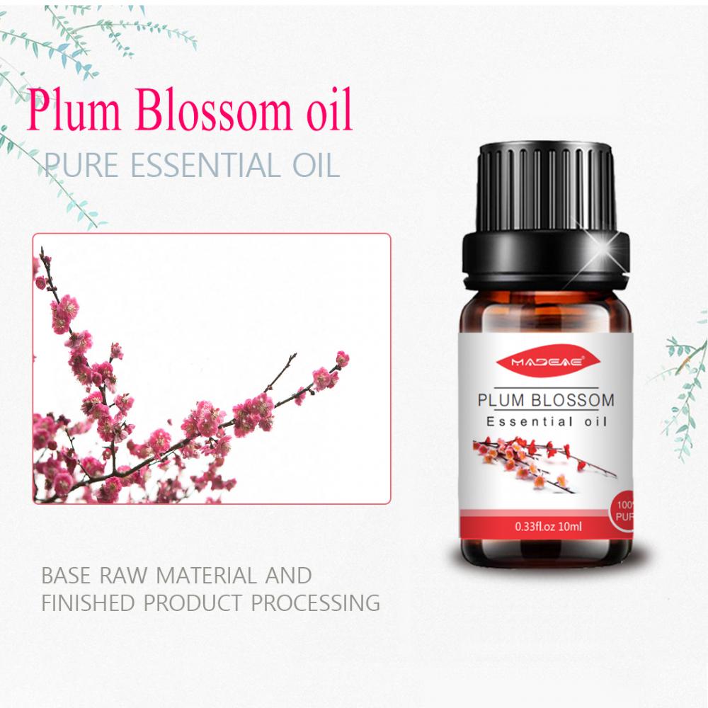 Aromatherapy plum blossom essential oil for Skin
