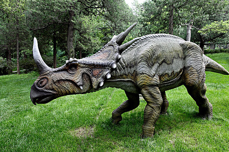 dinosaurs real size