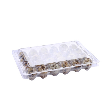 Clear clamshell plastic blister quail egg tray