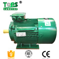 High rpm Y2 cast iron three-phase electric motor