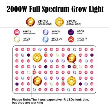 COB 2000W LED Plant Grow Light
