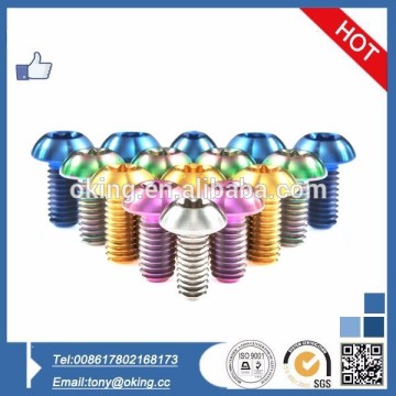 High quality titanium screw,decorative head screw