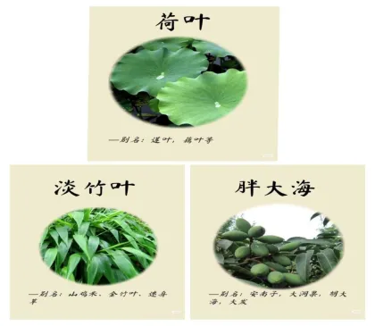Yuan Cui Ji With You Raw White Tea