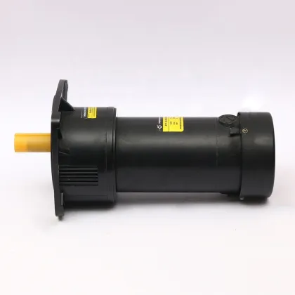 permanent magnet ZYT-114  DC Gear Motor