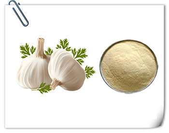 Garlic powder