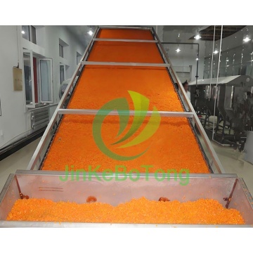 Mesh Belt Dryer for Manufacturing Applications