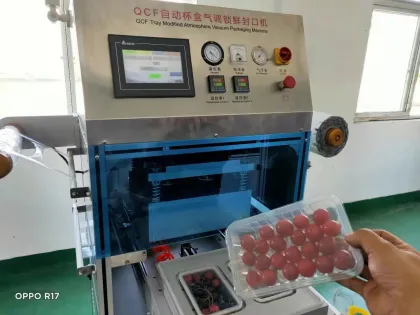 Automatic Plastic box / tray Sealing Machine