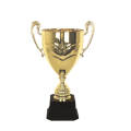 Premi di trofei in metallo per giochi sportivi personalizzati