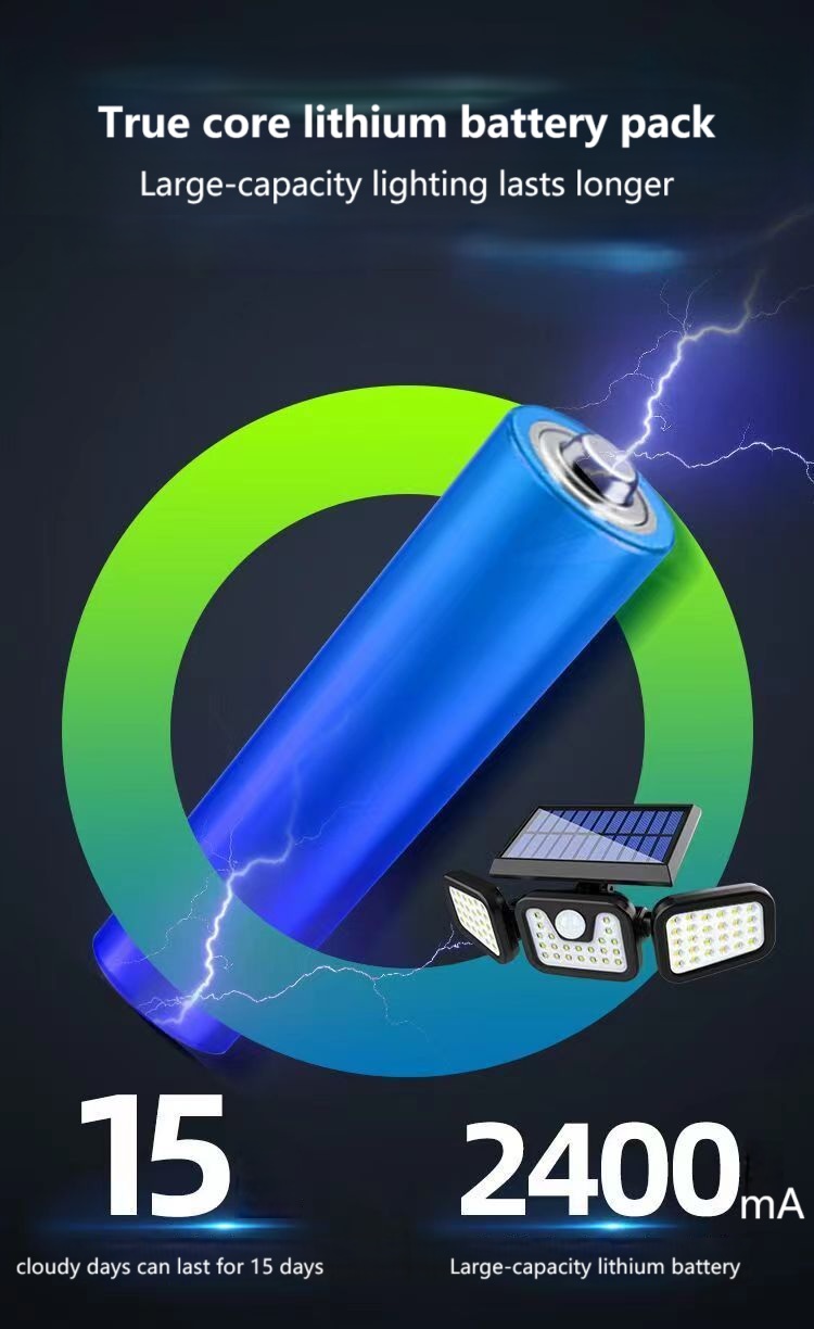 Solar Garden Light(16)